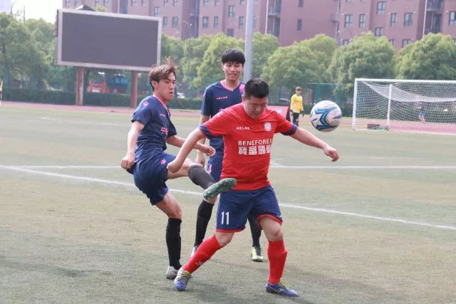 龙8下载